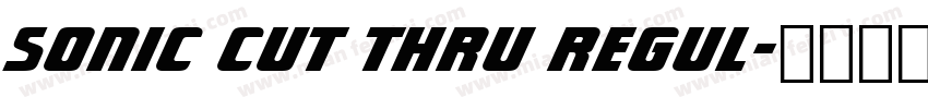 Sonic Cut Thru Regul字体转换